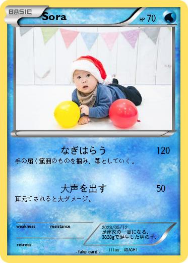 Pokemon Sora