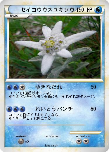 Pokemon セイヨウウスユキソウ