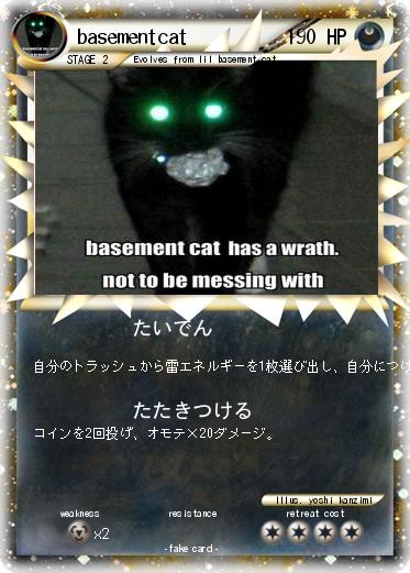 Pokemon basementcat