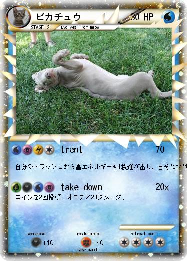 Pokemon ピカチュウ