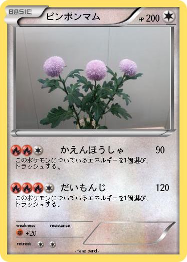 Pokemon ピンポンマム