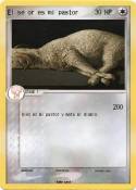 El señor es mi