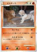 ピカチュウ