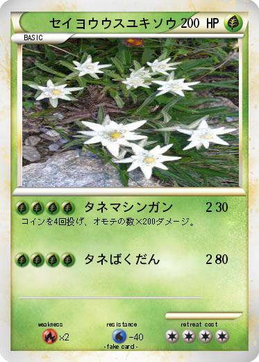 Pokemon セイヨウウスユキソウ