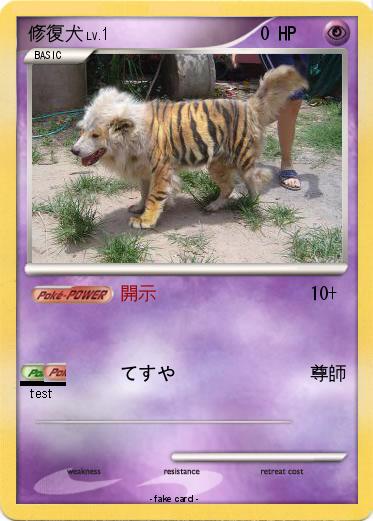 Pokemon 修復犬