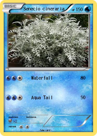 Pokemon Senecio cineraria