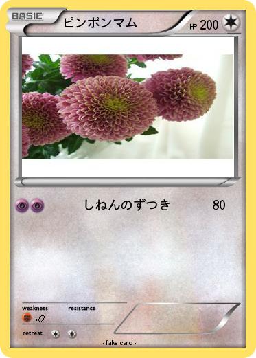 Pokemon ピンポンマム