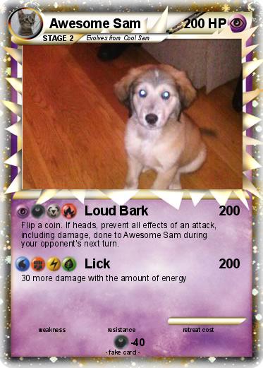 Pokemon Awesome Sam