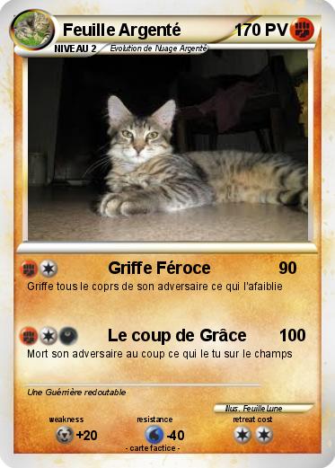 Pokemon Feuille Argenté