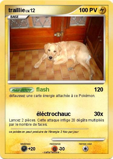 Pokemon traillie