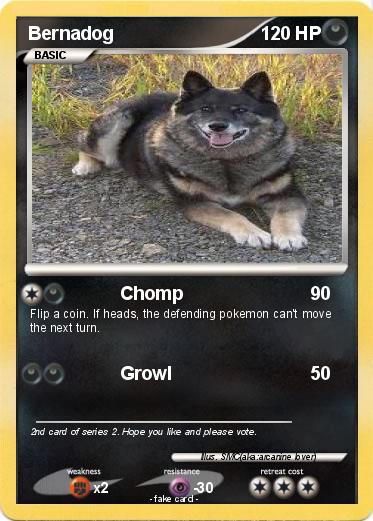 Pokemon Bernadog