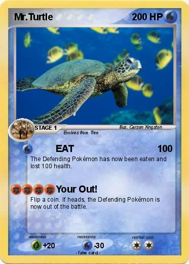 Pokemon Mr.Turtle