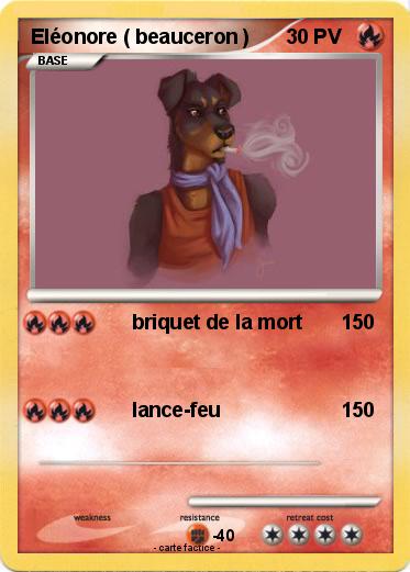 Pokemon Eléonore ( beauceron )