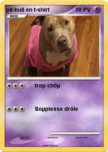Pokemon pit-bull en t-shirt