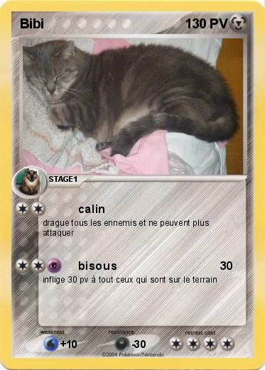 Pokemon Bibi