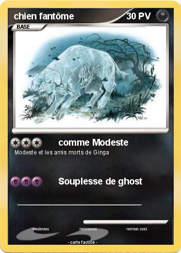 Pokemon chien fantôme