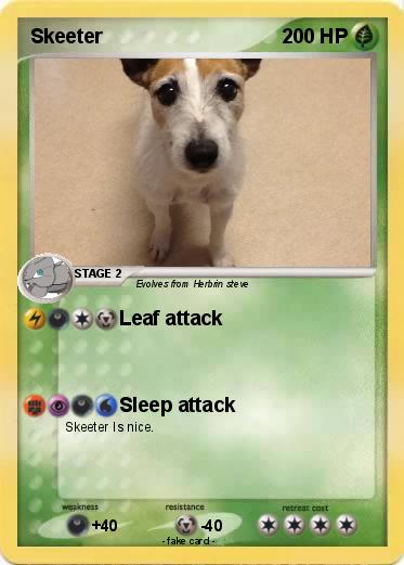 Pokemon Skeeter