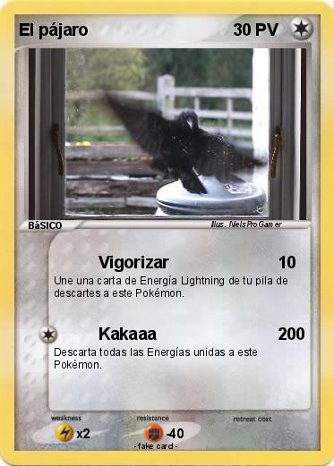 Pokemon El pájaro
