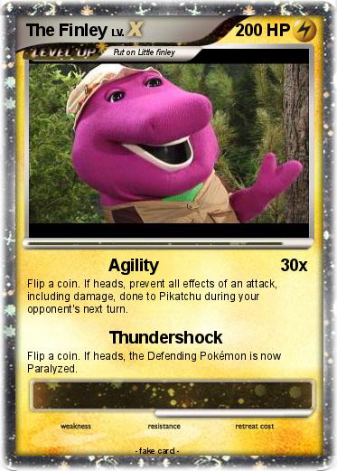 Pokemon The Finley