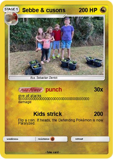 Pokemon Sebbe & cusons