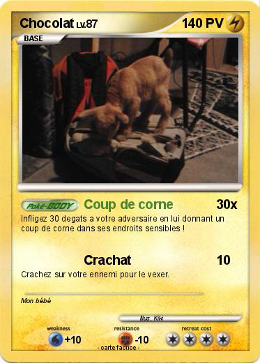 Pokemon Chocolat