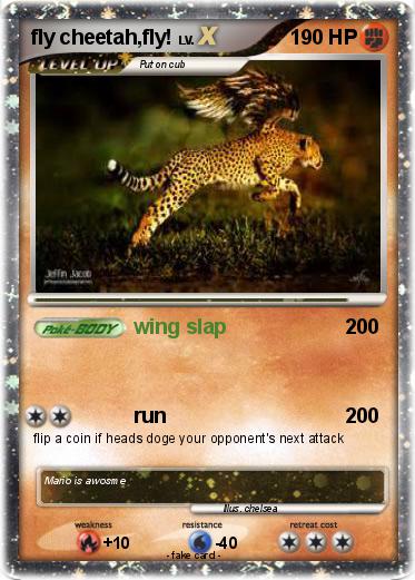 Pokemon fly cheetah,fly!