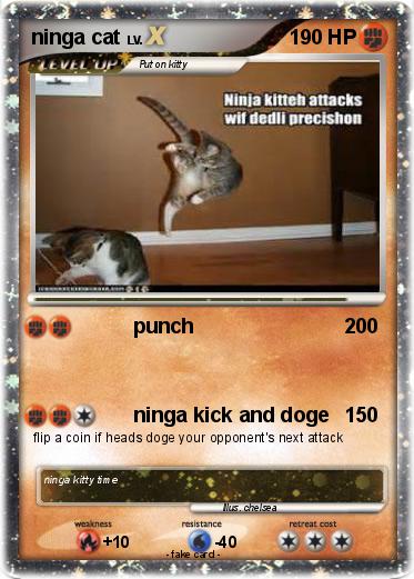 Pokemon ninga cat