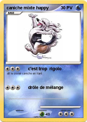 Pokemon caniche mixte happy