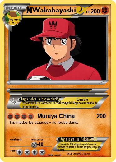 Pokemon Wakabayashi