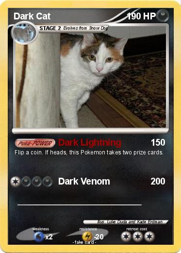 Pokemon Dark Cat