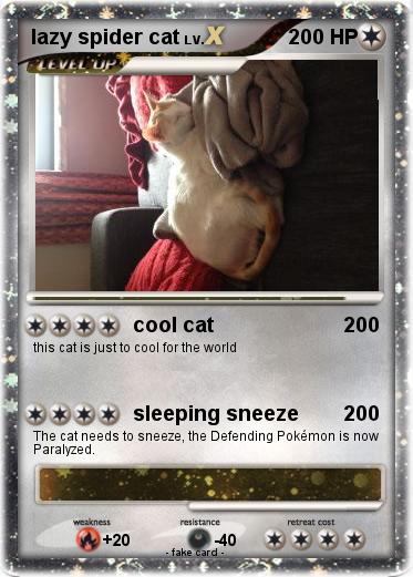 Pokemon lazy spider cat