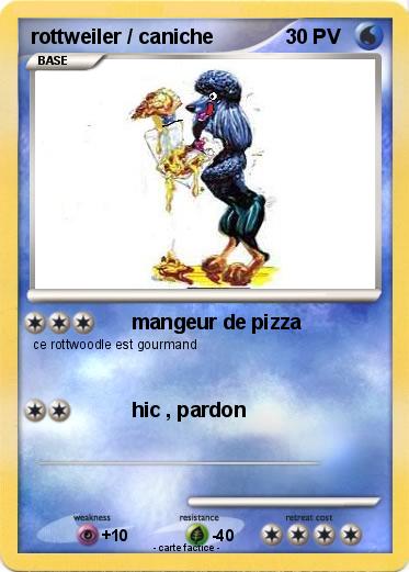 Pokemon rottweiler / caniche