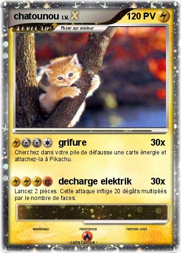 Pokemon chatounou