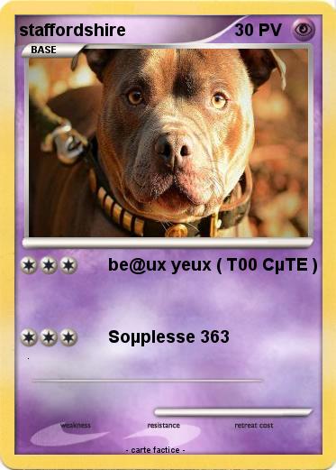 Pokemon staffordshire