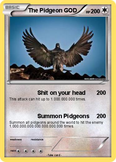 Pokemon The Pidgeon GOD