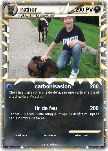 Pokemon nathor