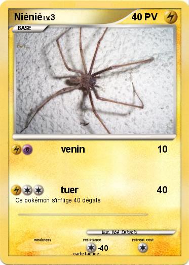 Pokemon Niénié