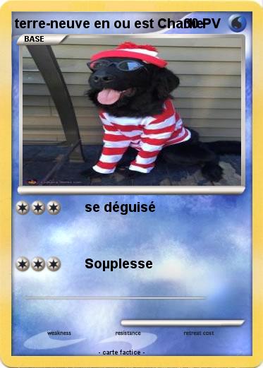 Pokemon terre-neuve en ou est Charlie