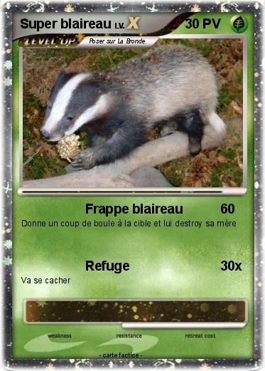 Pokemon Super blaireau