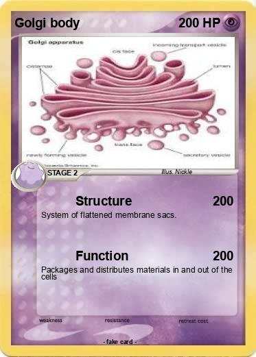 Pokemon Golgi body