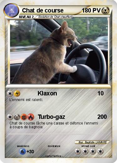 Pokemon Chat de course