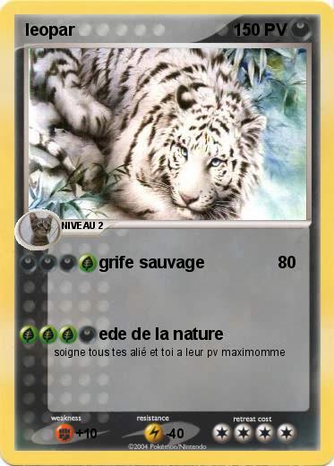 Pokemon leopar