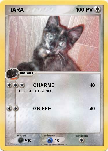 Pokemon  TARA