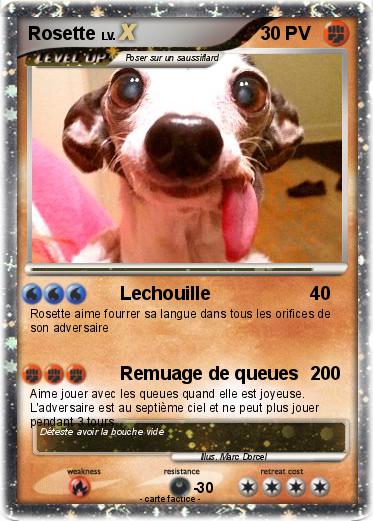 Pokemon Rosette