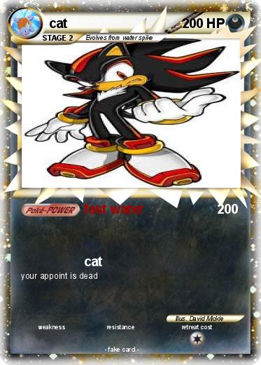 Pokemon cat