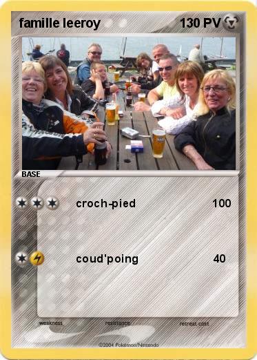 Pokemon famille leeroy