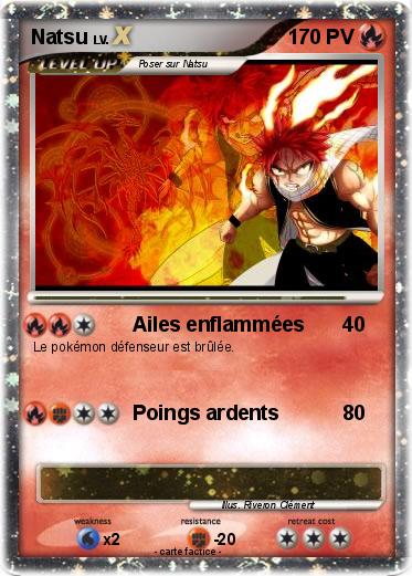 Pokemon Natsu