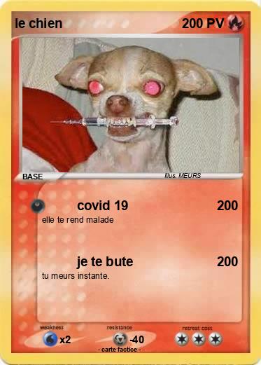 Pokemon le chien