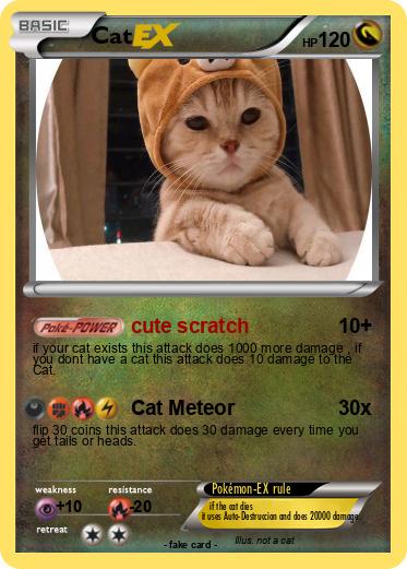 Pokemon Cat