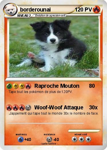 Pokemon borderounai